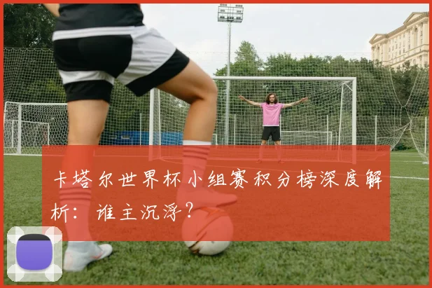 卡塔尔世界杯小组赛积分榜深度解析：谁主沉浮？