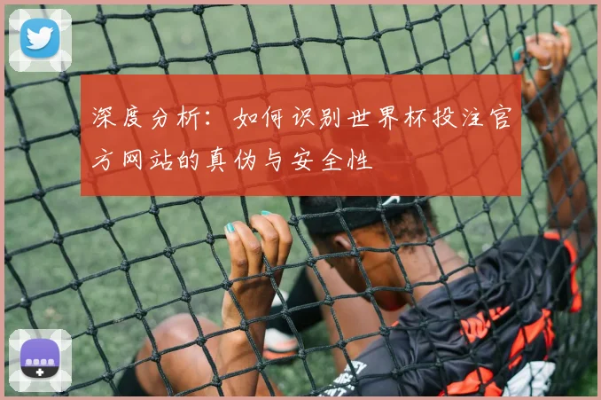 深度分析：如何识别世界杯投注官方网站的真伪与安全性