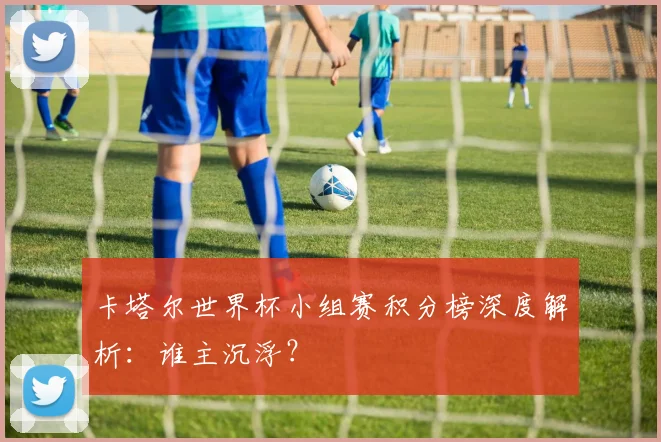 卡塔尔世界杯小组赛积分榜深度解析：谁主沉浮？