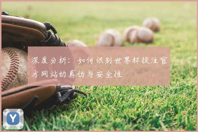 深度分析：如何识别世界杯投注官方网站的真伪与安全性